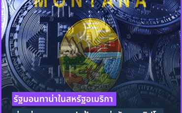 photo_2023-02-13_14-10-47