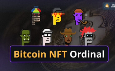 photo_2023-03-04_04-10-53