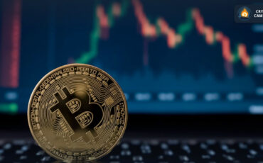 photo_2023-04-11_12-21-43