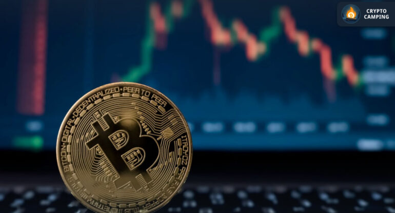 photo_2023-04-11_12-21-43