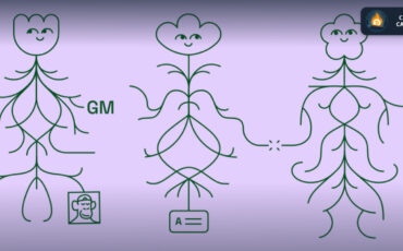 photo_2023-06-09_22-19-53