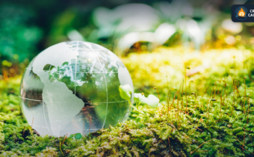 Frame 721 - 2023-07-23T073424.173 Frame 721 - 2023-07-23T073424.173