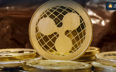 photo_2023-07-14_20-21-03 photo_2023-07-14_20-21-03