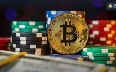 photo_2023-08-06_21-51-42