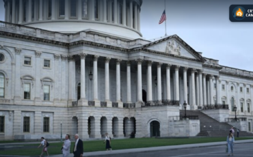 Frame 1133 (48) Frame 1133 (48)