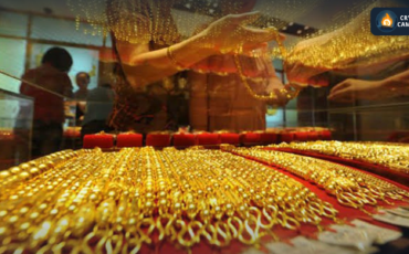 Frame 1133 (52) Frame 1133 (52)