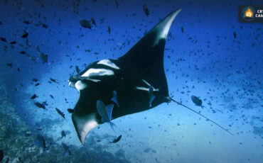 photo_2023-10-17_20-14-18