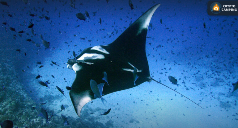 photo_2023-10-17_20-14-18