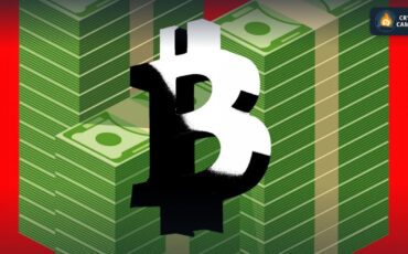 photo_2023-10-23_19-55-31