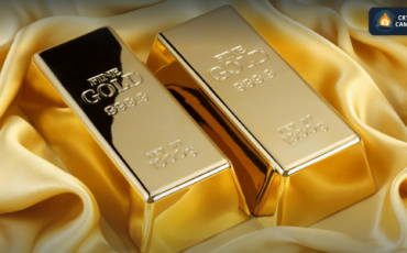 Frame 1133 - 2023-11-02T103416.635