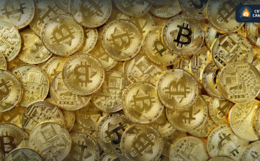 Frame 1133 - 2023-12-30T164140.606