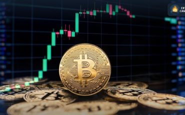 Frame 1133 - 2024-01-19T113107.784