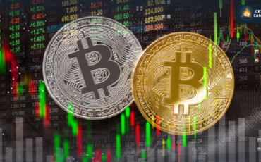 Frame 1133 - 2024-02-15T111556.178