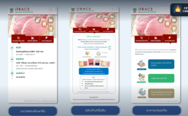 Frame 1133 - 2024-02-15T111641.638