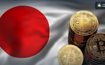 Frame 1133 - 2024-02-22T151742.436