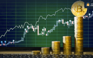 Frame 1133 - 2024-02-28T142525.160