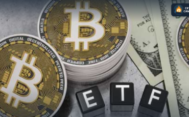 Frame 1133 - 2024-02-29T183832.218