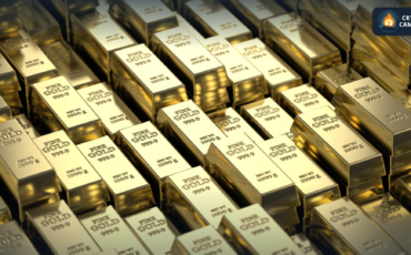 Frame 1133 - 2024-03-02T124157.480