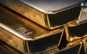 Frame 1133 - 2024-04-08T134426.320