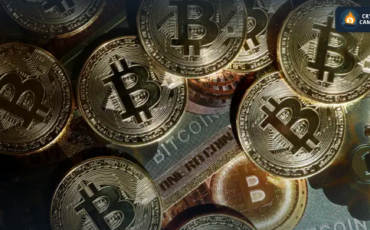 Frame 1133 - 2024-04-18T123646.150