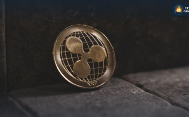 Frame 1133 - 2024-04-22T121259.281