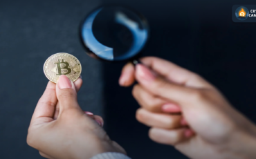 Frame 1124 - 2024-07-31T141049.502