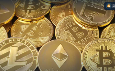 Frame 1133 - 2024-03-13T104842.920