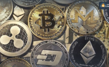 Frame 1124 - 2024-08-13T135237.011