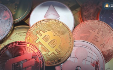 Frame 1124 - 2024-09-12T154253.685