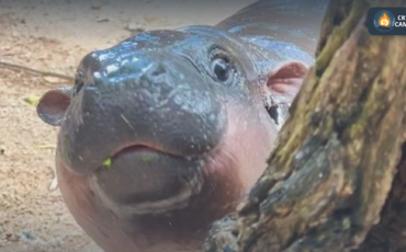 Frame 1124 - 2024-10-08T183718.673