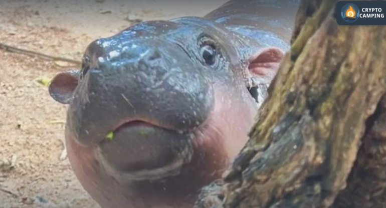 Frame 1124 - 2024-10-08T183718.673