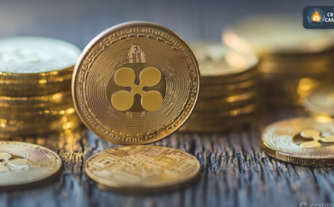 Frame 1124 - 2024-11-26T093902.701