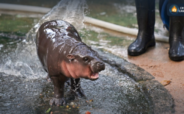 Frame 1124 - 2024-12-03T181950.996