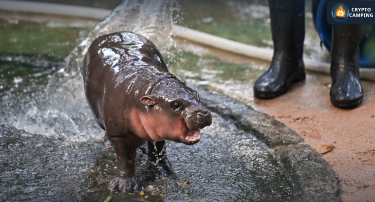 Frame 1124 - 2024-12-03T181950.996 Frame 1124 - 2024-12-03T181950.996