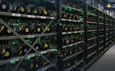 Frame 1124 - 2024-12-21T112052.294