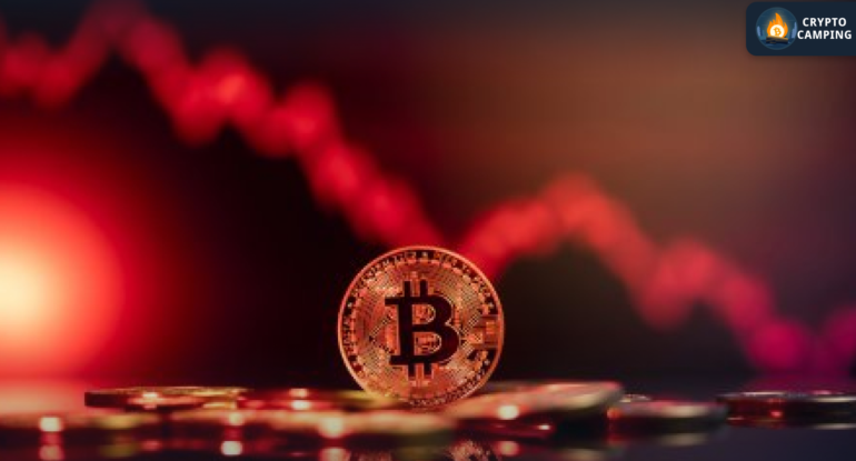 Frame 1124 - 2025-02-25T135639.214