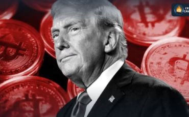 Frame 1124 - 2025-03-06T121813.154