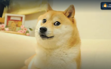 Frame 1124 - 2025-04-10T124020.536