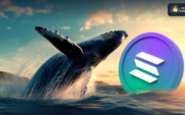 Frame 1124 - 2025-04-24T122649.786