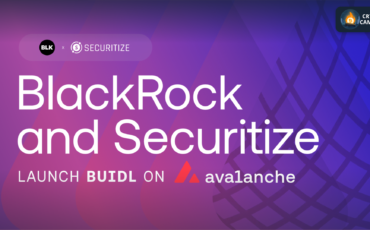 Frame 1124 - 2025-05-16T124819.143