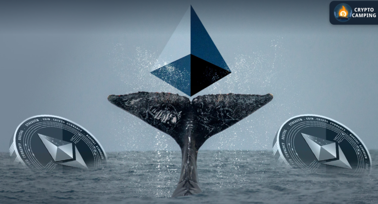 Frame 1124 (7) Frame 1124 (7)