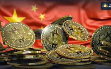 Frame 1124 - 2025-08-03T094916.243