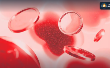 Frame 1124 - 2025-10-02T081713.478