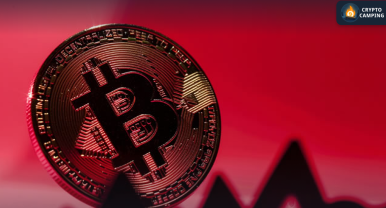 Frame 1130 - 2025-11-16T130001.639