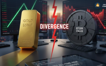 Frame 1130 - 2026-01-26T112704.038