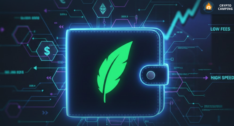 Frame 1130 - 2026-02-11T120114.998