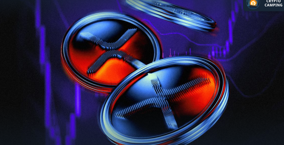 Frame 1130 - 2026-02-22T151308.134 Frame 1130 - 2026-02-22T151308.134