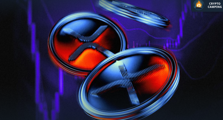 Frame 1130 - 2026-02-22T151308.134