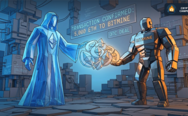 Frame 1130 - 2026-03-15T121241.296